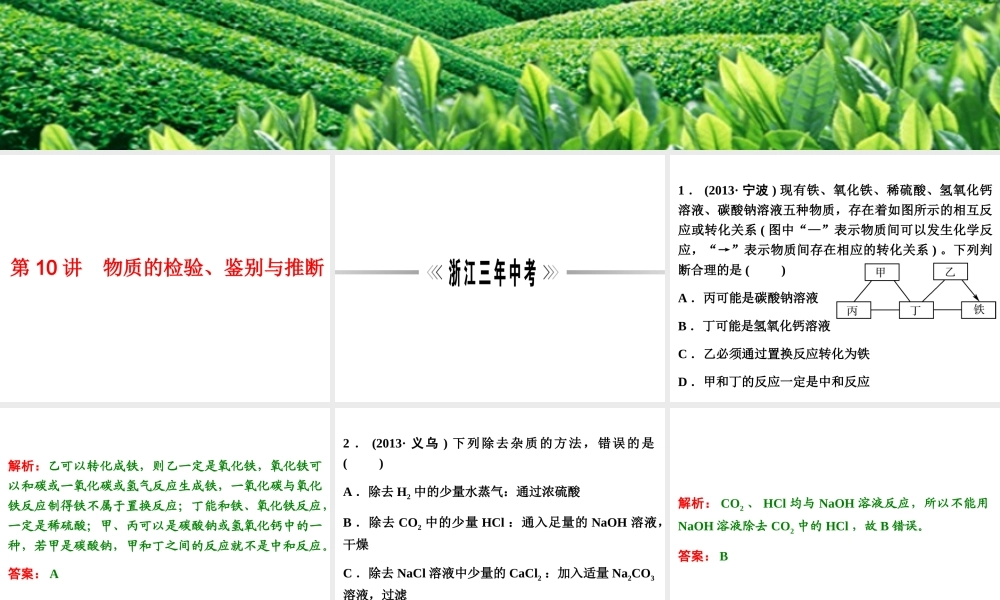 【浙江新中考】2014中考科学总复习 第三篇 物质科学（二） 第10讲 物质的检验、鉴别与推断（三年中考真题为例）课件