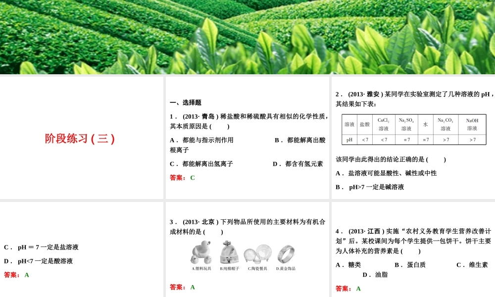 【浙江新中考】2014中考科学总复习 第三篇 物质科学（二） 阶段练习（三）课件