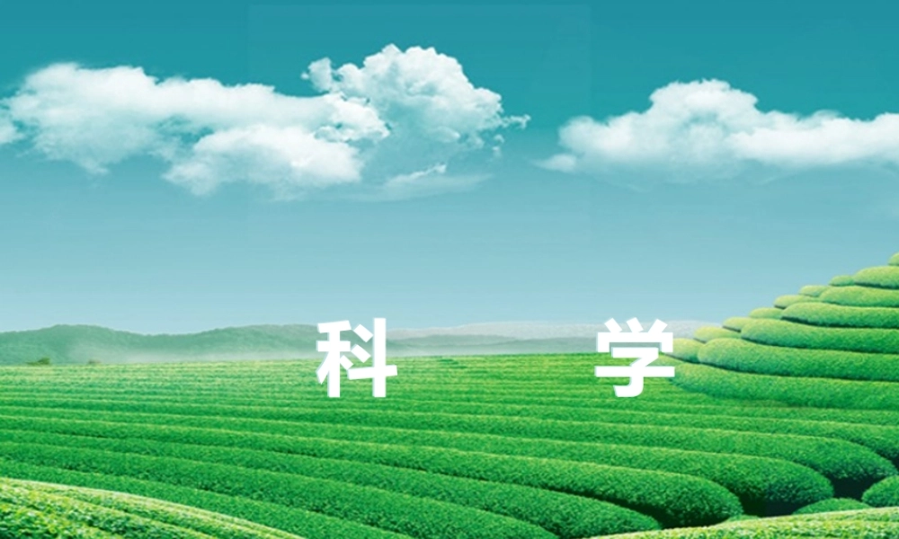 【浙江新中考】2014中考科学总复习 第一篇 生命科学 阶段练习（二）课件