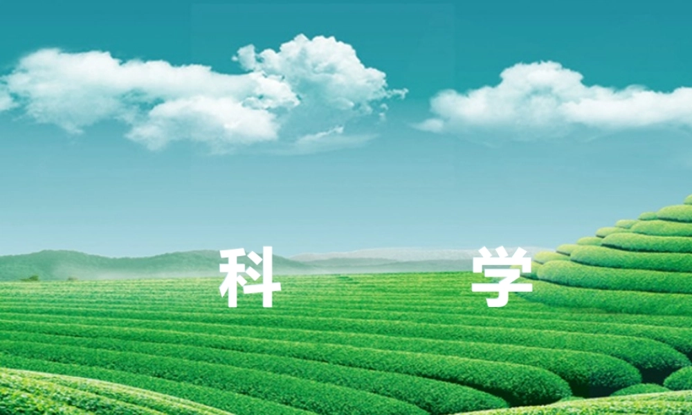 【浙江新中考】2014中考科学总复习 第一篇 生命科学 阶段练习（一）课件