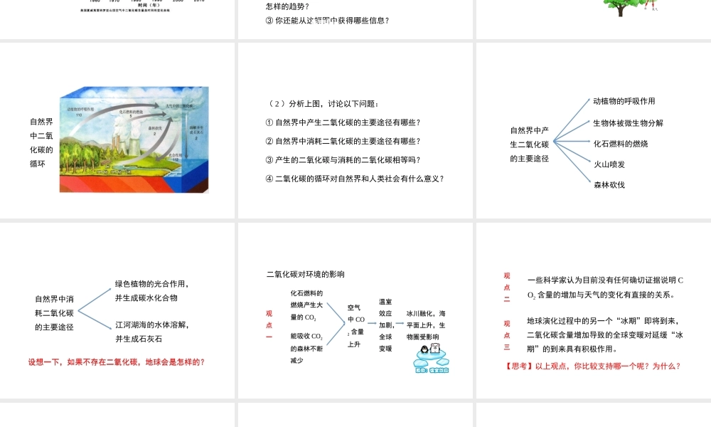 八年级化学全册 6.3《大自然中的二氧化碳》教学课件 （新版）鲁教版五四制-鲁教版五四制初中八年级全册化学课件