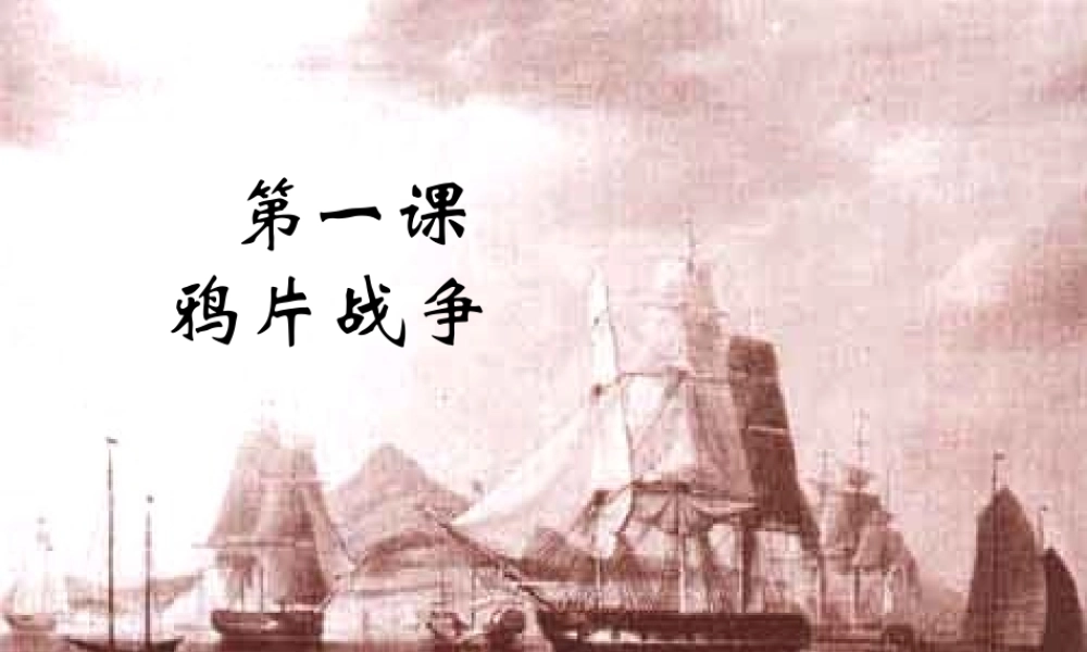 八年级历史上册 1 鸦片战争实战课件 新人教版-新人教版初中八年级上册历史课件