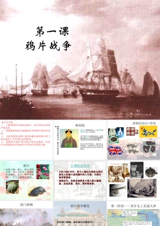 八年级历史上册 1 鸦片战争实战课件 新人教版-新人教版初中八年级上册历史课件