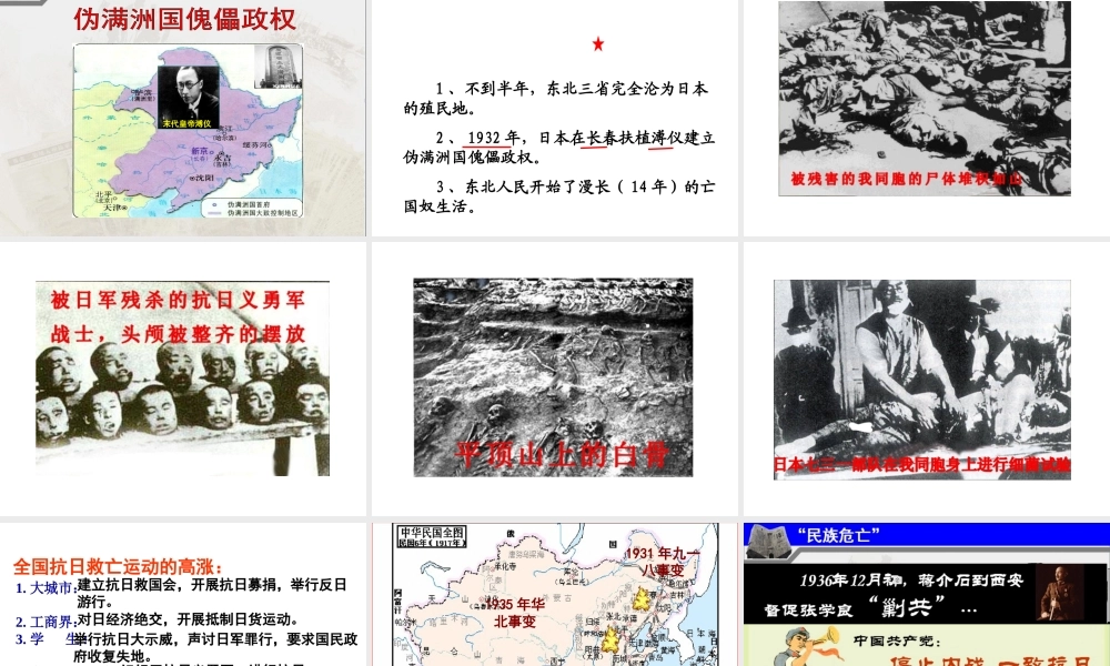 八年级历史上册 第13课 抗日救亡运动课件2 川教版-川教版初中八年级上册历史课件