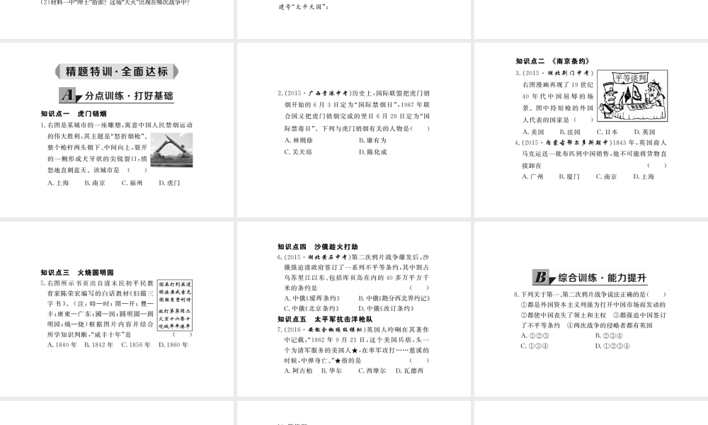 八年级历史上册 第1课 两次鸦片战争课件 华东师大版-华东师大版初中八年级上册历史课件