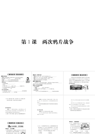 八年级历史上册 第1课 两次鸦片战争课件 华东师大版-华东师大版初中八年级上册历史课件