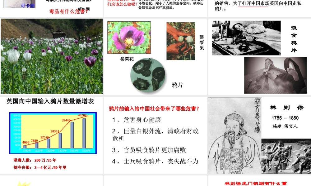 八年级历史上册 第1课 鸦片战争的烽烟课件 北师大版-北师大级上册历史课件