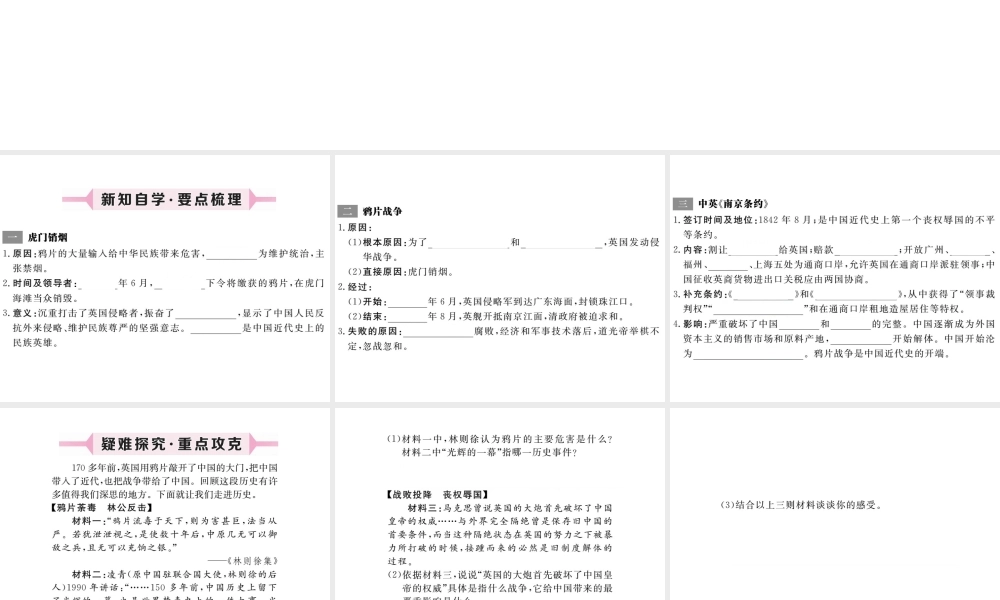 八年级历史上册 第1课 鸦片战争课件 川教版-川教版初中八年级上册历史课件