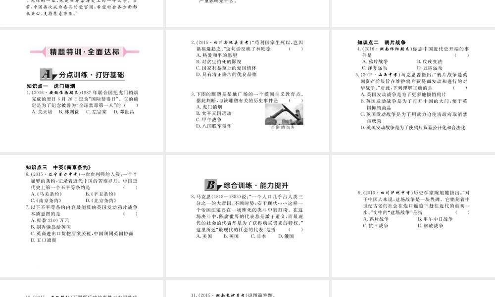 八年级历史上册 第1课 鸦片战争课件 川教版-川教级上册历史课件