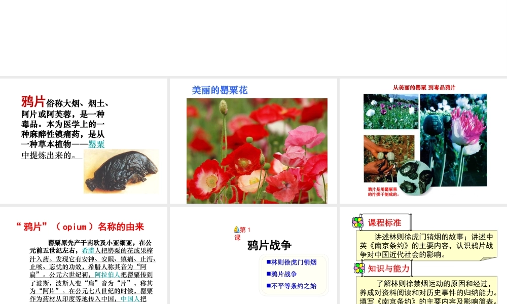 八年级历史上册 第1课 鸦片战争课件 新人教版-新人教级上册历史课件
