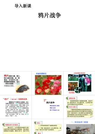 八年级历史上册 第1课 鸦片战争课件 新人教版-新人教级上册历史课件