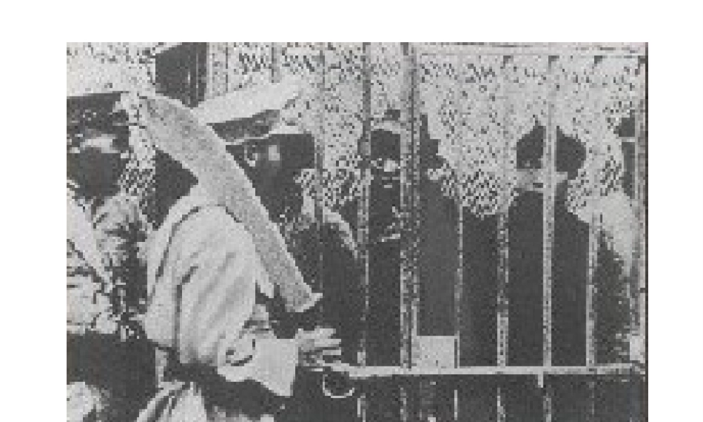 八年级历史上册 第13课 星星之火，可以燎原课件1 北师大版-北师大级上册历史课件