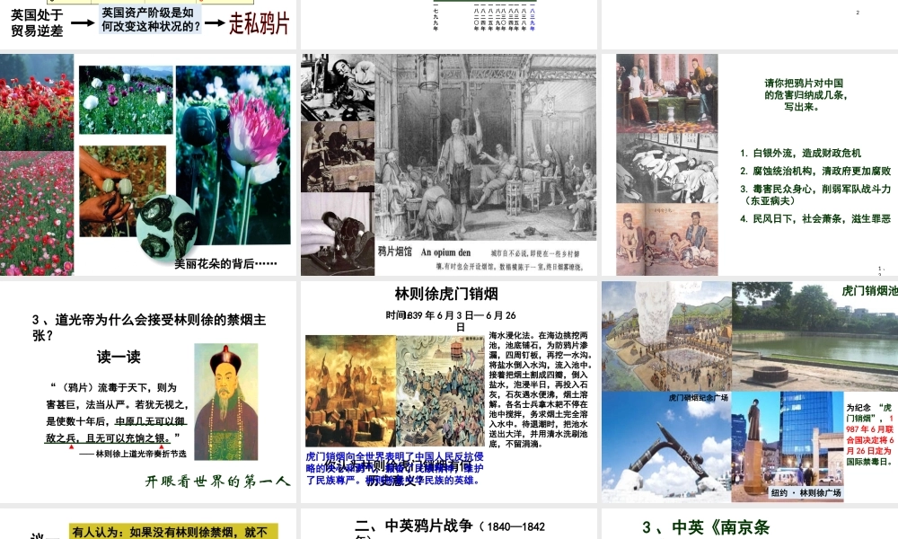 八年级历史上册 第1课 鸦片战争课件1 北师大版-北师大级上册历史课件