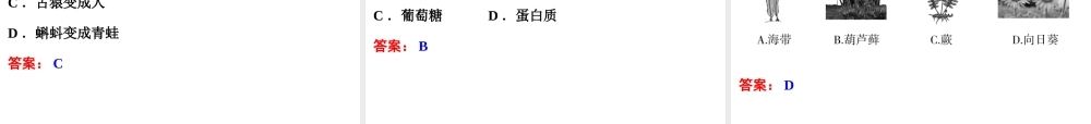 【备战2014】中考科学总复习 第一部分 生命科学 专题9 遗传与进化（含13年中考典例）课件 浙教版