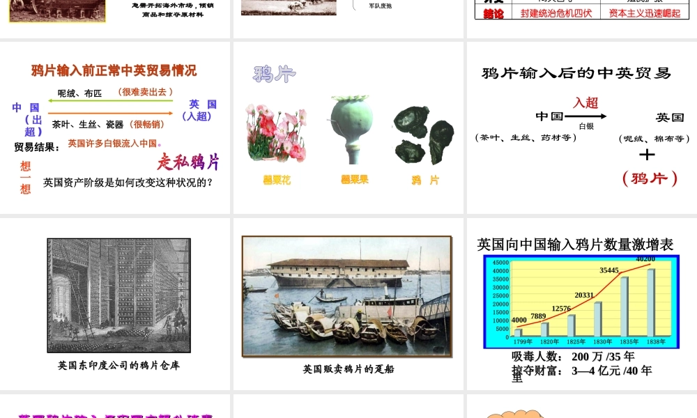 八年级历史上册 第1课 鸦片战争课件2 川教版-川教版初中八年级上册历史课件