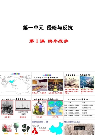 八年级历史上册 第1课 鸦片战争课件2 新人教版-新人教版初中八年级上册历史课件