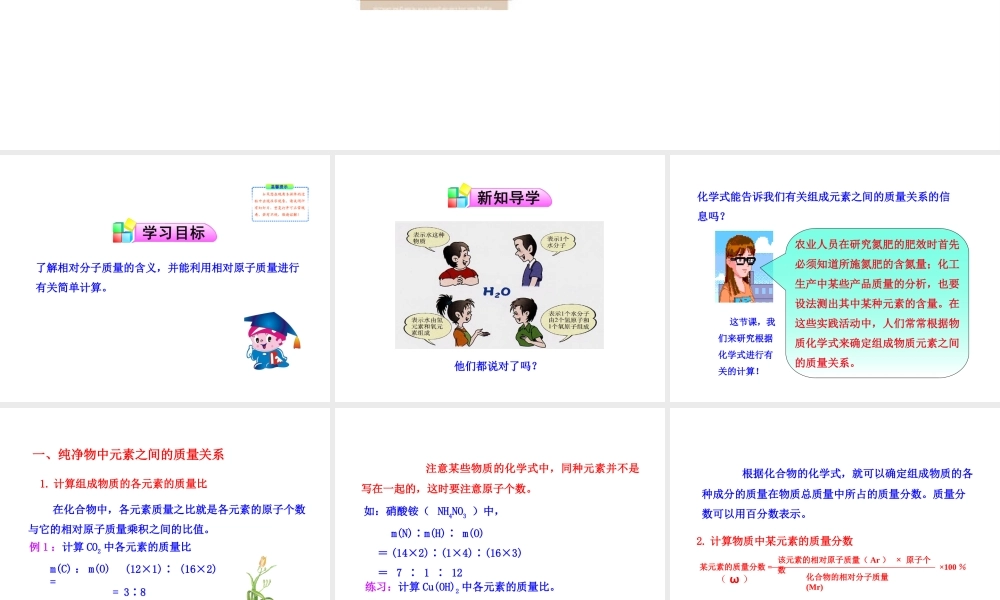 八年级化学全册 第三单元 第三节 物质组成的表示（第2课时）物质组成的定量表示课件 鲁教版五四制