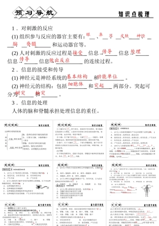 【四清导航】2014年秋八年级科学上册 第三章 第3节 第1课时 神经系统课件 浙教版