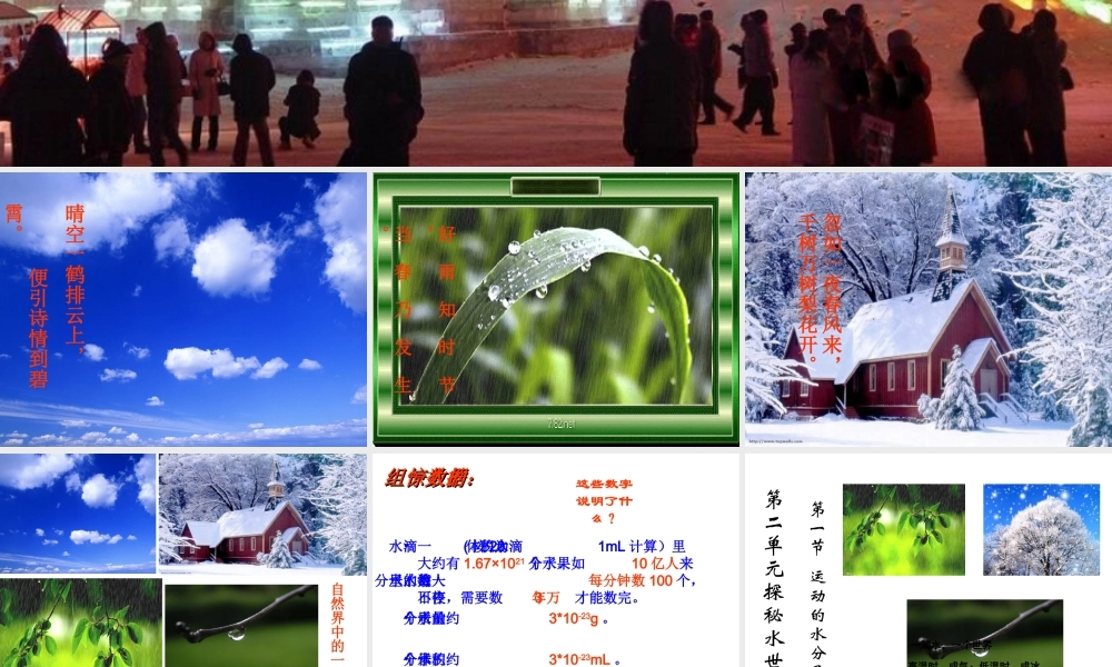 八年级化学上册 第一节 运动的水分子课件  鲁教版（五四制）