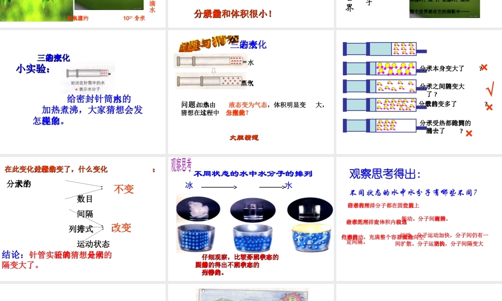 八年级化学上册 第一节 运动的水分子课件  鲁教版（五四制）