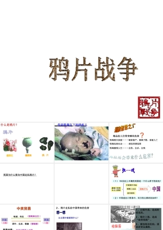 八年级历史上册 第1单元 两次鸦片战争时期（19世纪中期）第1课 鸦片战争课件 中图版-中图级上册历史课件