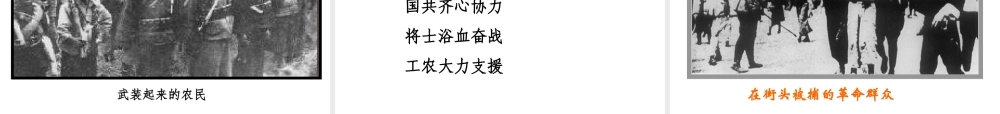 八年级历史上册 第14课 国民革命的洪流课件 北师大版-北师大版初中八年级上册历史课件