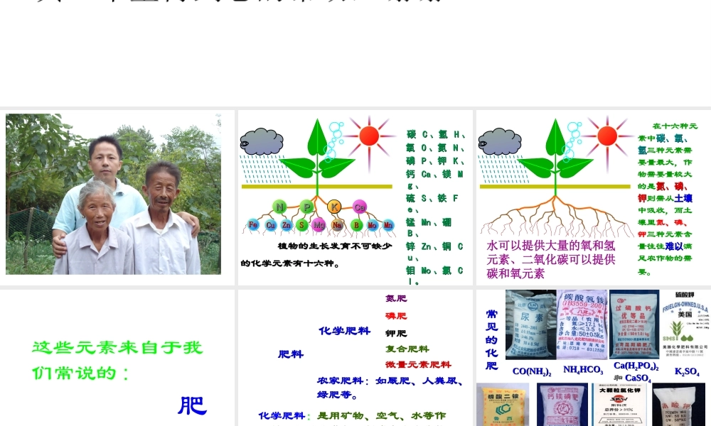 【四清导航】2015春九年级化学下册 第11单元 课题2 化学肥料课件 （新版）新人教版