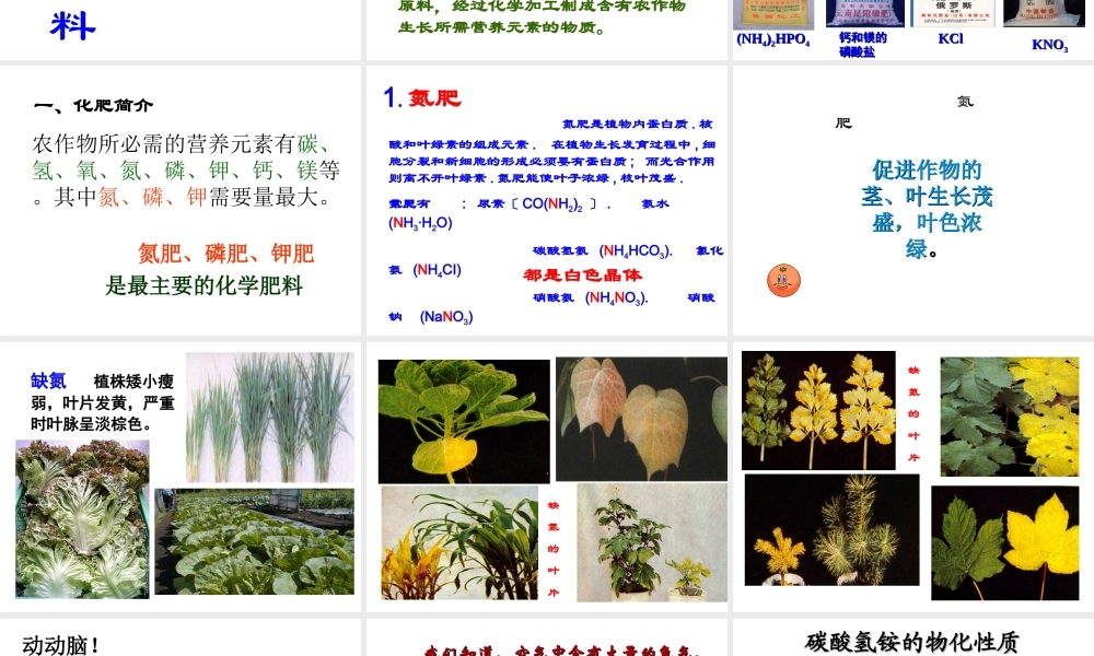 【四清导航】2015春九年级化学下册 第11单元 课题2 化学肥料课件 （新版）新人教版