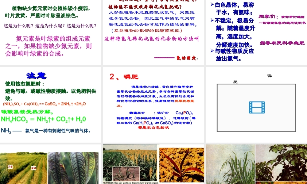 【四清导航】2015春九年级化学下册 第11单元 课题2 化学肥料课件 （新版）新人教版