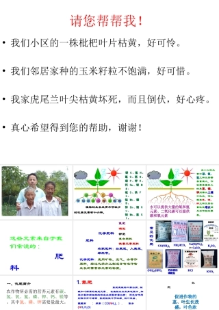 【四清导航】2015春九年级化学下册 第11单元 课题2 化学肥料课件 （新版）新人教版