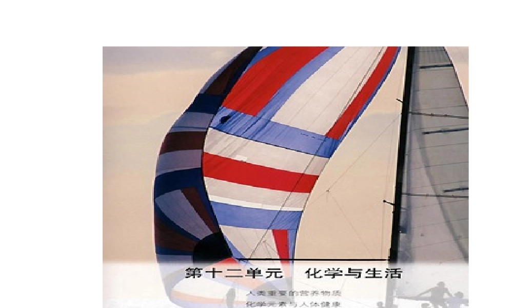 【四清导航】2015春九年级化学下册 第12单元 化学与生活课件2 （新版）新人教版