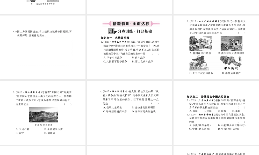 八年级历史上册 第2课 第二次鸦片战争课件 川教版-川教级上册历史课件