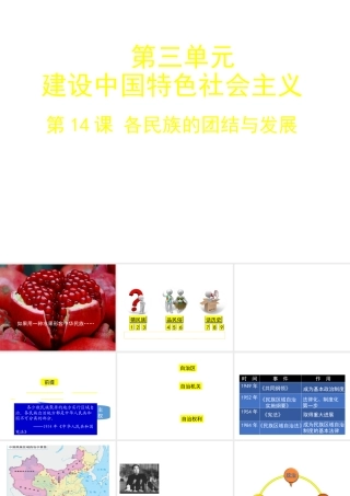 八年级历史上册 第三单元 第14课 各民族的团结与发展课件 北师大版-北师大级上册历史课件