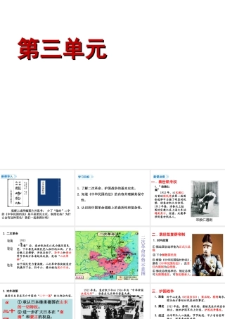 八年级历史上册 第9课 袁世凯独裁统治与军阀混战课件2 北师大版-北师大级上册历史课件