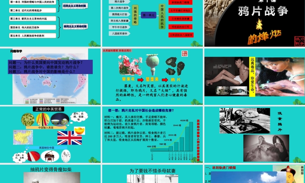 八年级历史上册 第一单元 第1课 鸦片战争的烽烟课件 北师大版-北师大版初中八年级上册历史课件