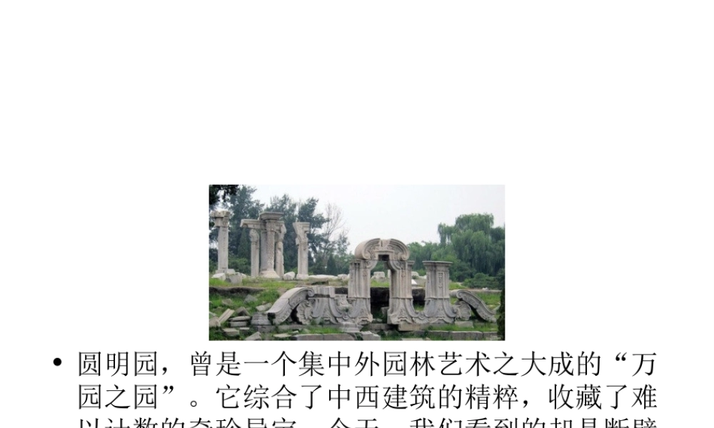 八年级历史上册 第一单元 第2课 劫难中的抗争课件 北师大版-北师大版初中八年级上册历史课件