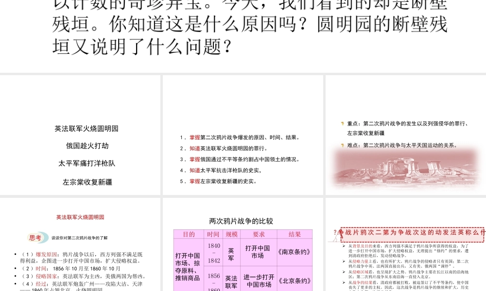 八年级历史上册 第一单元 第2课 劫难中的抗争课件 北师大版-北师大级上册历史课件