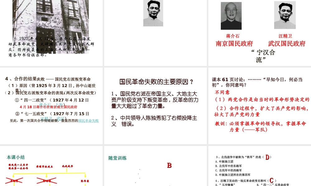 八年级历史上册 第9课 国民革命运动与南京国民政府的建立课件1 华东师大版-华东师大版初中八年级上册历史课件