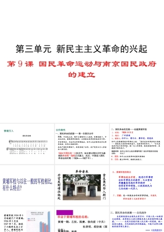 八年级历史上册 第9课 国民革命运动与南京国民政府的建立课件2 华东师大版-华东师大版初中八年级上册历史课件