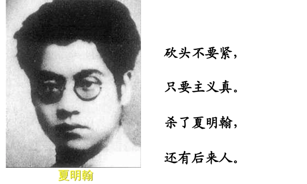 八年级历史上册 第四单元 新民主主义革命的展开 第16课 星火燎原课件2 冀教版-冀教版初中八年级上册历史课件