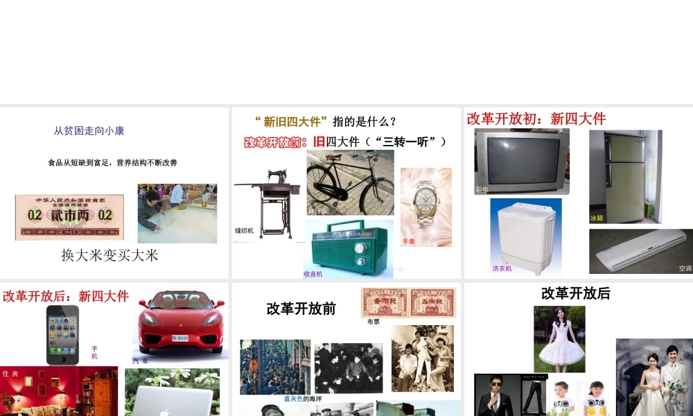 八年级历史下册 第七单元 第22课《社会生活的变迁》课件2 华东师大版-华东师大版初中八年级下册历史课件