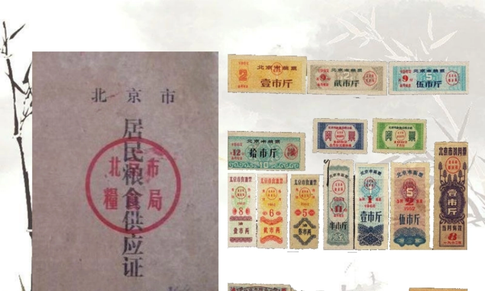 八年级历史下册 第七学习主题 社会生活 第城乡人民生存状态的沧桑巨变》课件3 川教版-川教级下册历史课件