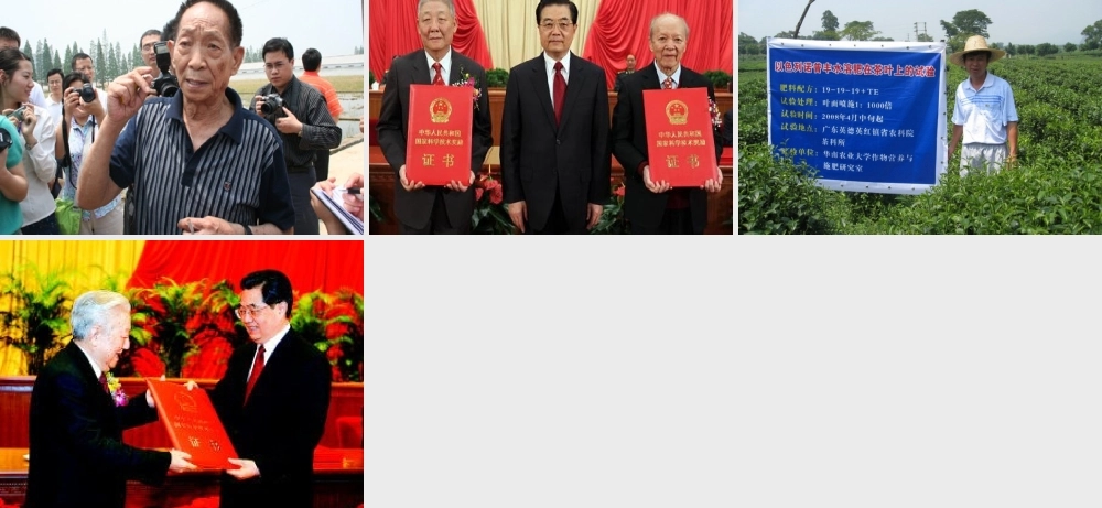 八年级历史下册 第六单元 第19课《教育事业的发展》课件3 华东师大版-华东师大版初中八年级下册历史课件