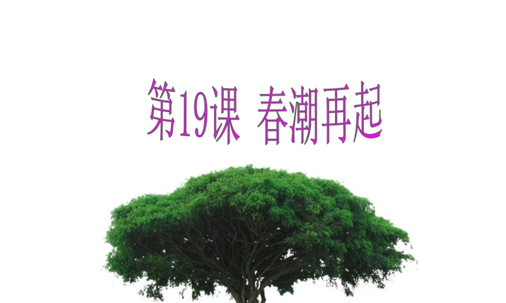 八年级历史下册 第五单元 第19课《春潮再起》课件1 冀教版-冀教级下册历史课件