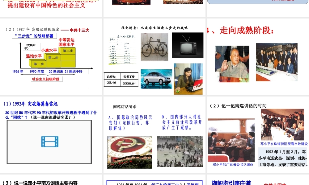八年级历史下册 第10课 邓小平理论是现代化建设的指南针课件 中华书局版-中华书局级下册历史课件