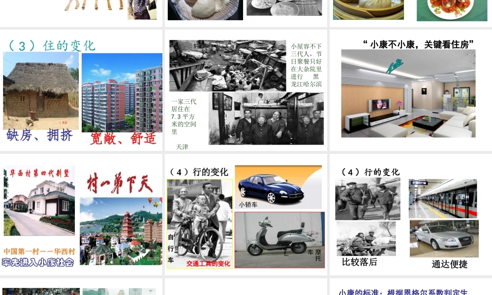 八年级历史下册 第18课 新时期社会生活的变迁课件 中华书局版-中华书局版初中八年级下册历史课件