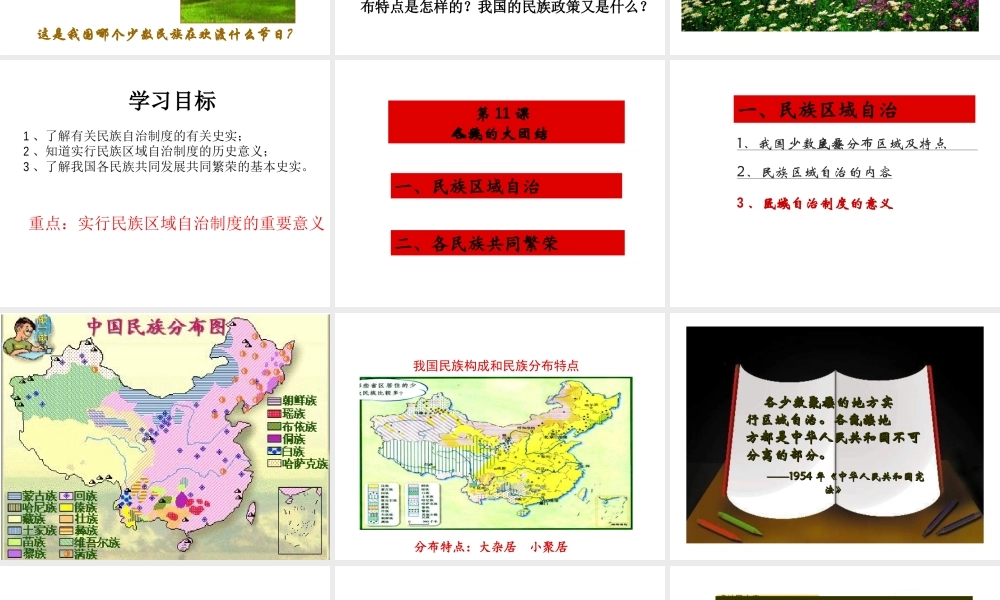 八年级历史下册 第11课 各族人民的大团结课件 中华书局版-中华书局级下册历史课件