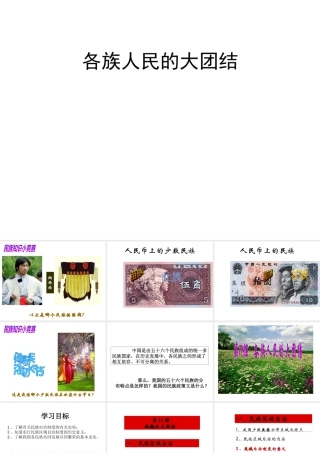 八年级历史下册 第11课 各族人民的大团结课件 中华书局版-中华书局级下册历史课件