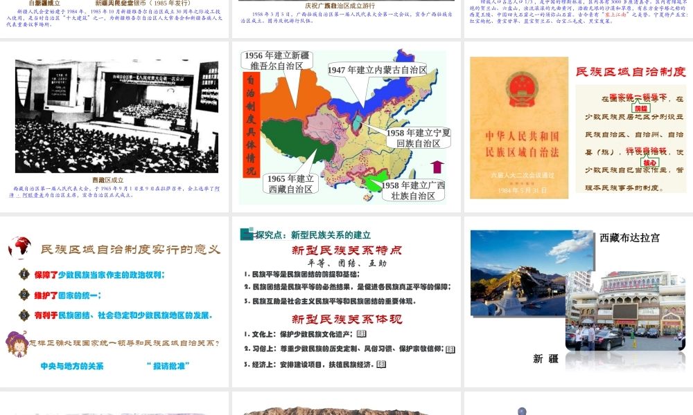 八年级历史下册 第13课 民族团结与共同繁荣习题课件 川教版-川教版初中八年级下册历史课件