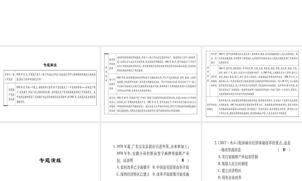 八年级历史下册 专题2 改革开放习题课件 岳麓版-岳麓级下册历史课件
